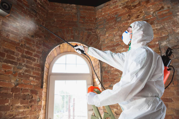 Best Mold Prevention Services  in Taft Southwest, TX